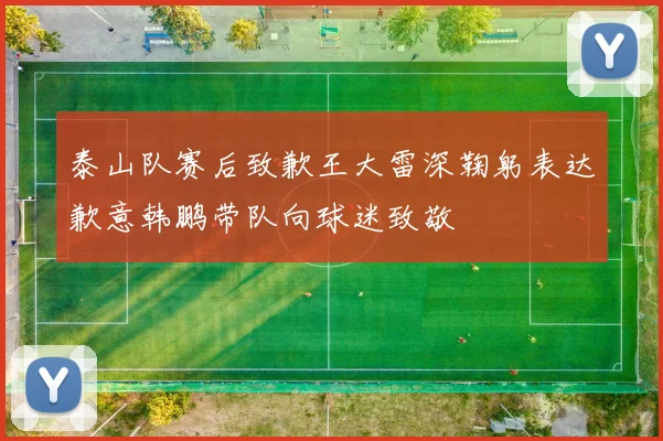 泰山队赛后致歉王大雷深鞠躬表达歉意韩鹏带队向球迷致敬