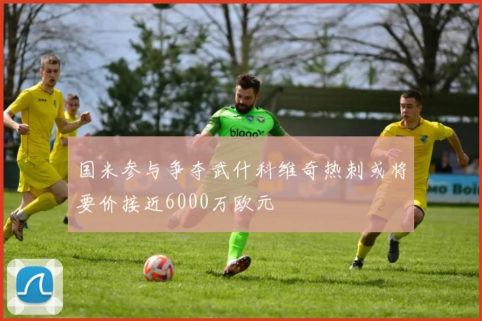 国米参与争夺武什科维奇热刺或将要价接近6000万欧元