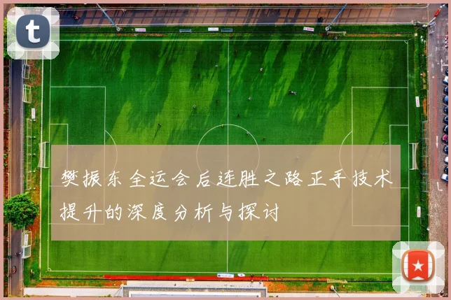 樊振东全运会后连胜之路正手技术提升的深度分析与探讨